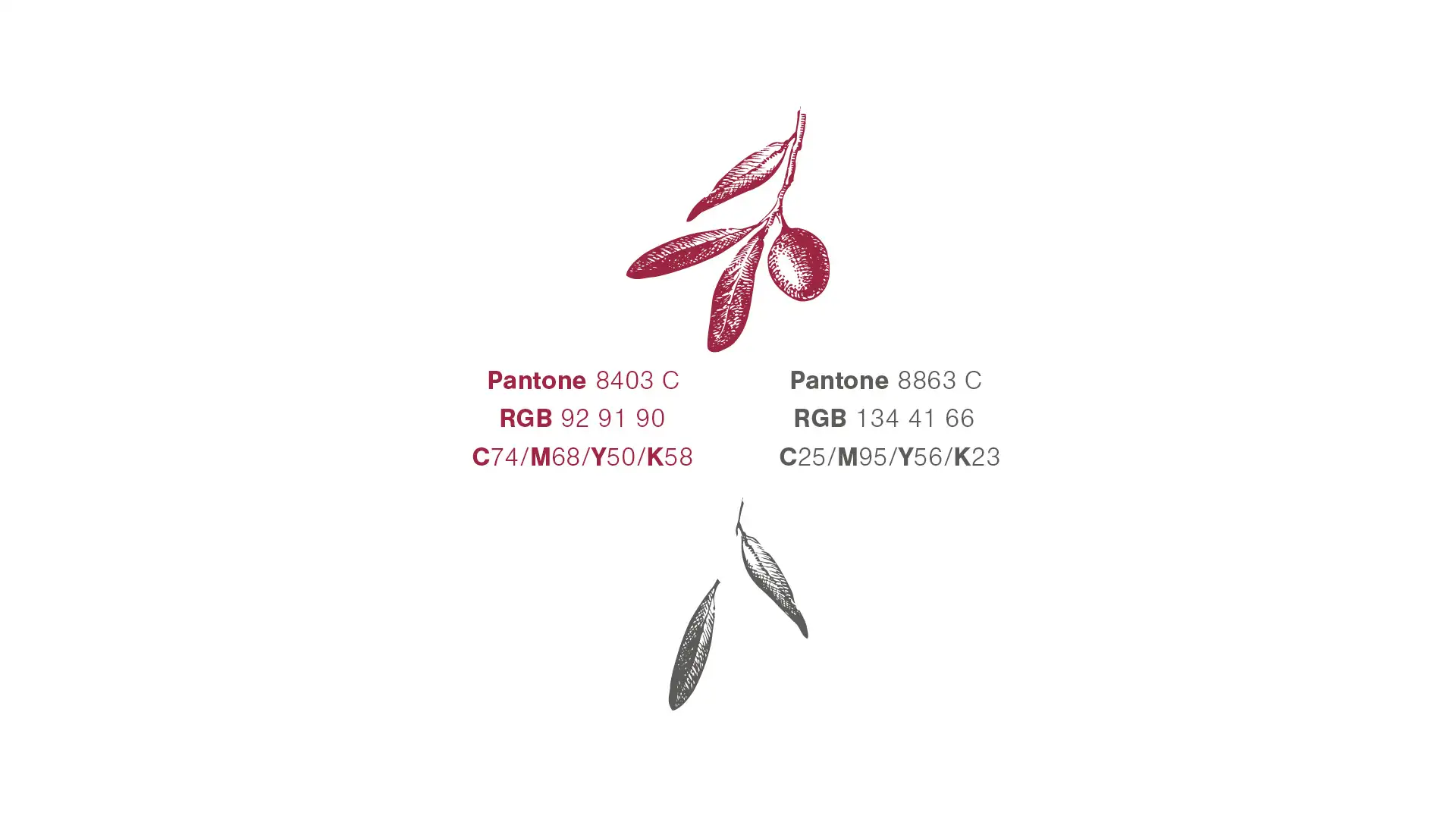 prikaz uporabe barvn v oblikovanju